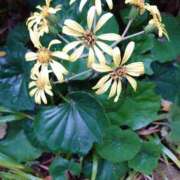 ヒメ日記 2025/02/02 20:00 投稿 みちる モアグループ南越谷人妻花壇