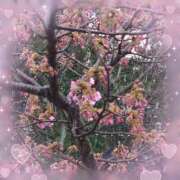 ヒメ日記 2025/02/08 13:34 投稿 みちる モアグループ南越谷人妻花壇