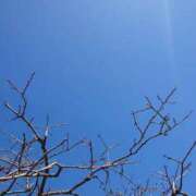 ヒメ日記 2025/02/23 18:34 投稿 みちる モアグループ南越谷人妻花壇