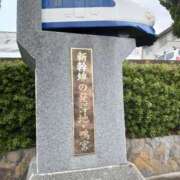 ヒメ日記 2025/03/11 18:03 投稿 みちる モアグループ南越谷人妻花壇