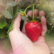 ヒメ日記 2025/03/11 20:33 投稿 みちる モアグループ南越谷人妻花壇