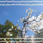 ヒメ日記 2025/03/20 15:33 投稿 みちる モアグループ南越谷人妻花壇