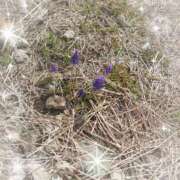 ヒメ日記 2025/03/25 11:27 投稿 みちる モアグループ南越谷人妻花壇