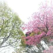 ヒメ日記 2025/03/31 20:04 投稿 みちる モアグループ南越谷人妻花壇