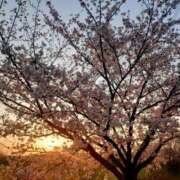 ヒメ日記 2025/04/07 18:48 投稿 みちる モアグループ南越谷人妻花壇