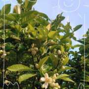 ヒメ日記 2025/05/01 21:03 投稿 みちる モアグループ南越谷人妻花壇