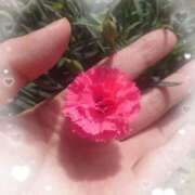 ヒメ日記 2025/05/11 14:18 投稿 みちる モアグループ南越谷人妻花壇