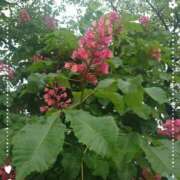 ヒメ日記 2025/05/12 22:03 投稿 みちる モアグループ南越谷人妻花壇