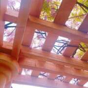 ヒメ日記 2025/05/18 19:03 投稿 みちる モアグループ南越谷人妻花壇