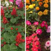 ヒメ日記 2025/05/21 14:48 投稿 みちる モアグループ南越谷人妻花壇