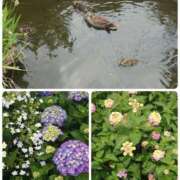 ヒメ日記 2025/06/02 14:18 投稿 みちる モアグループ南越谷人妻花壇