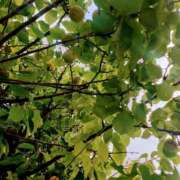 ヒメ日記 2025/06/03 20:12 投稿 みちる モアグループ南越谷人妻花壇