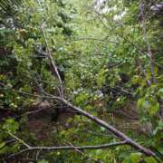 ヒメ日記 2025/06/06 17:33 投稿 みちる モアグループ南越谷人妻花壇