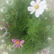 ヒメ日記 2025/06/25 15:18 投稿 みちる モアグループ南越谷人妻花壇