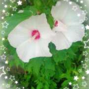 ヒメ日記 2025/07/04 09:36 投稿 みちる モアグループ南越谷人妻花壇