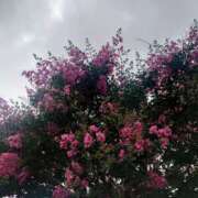 ヒメ日記 2025/07/15 09:33 投稿 みちる モアグループ南越谷人妻花壇