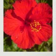 ヒメ日記 2025/07/19 10:09 投稿 みちる モアグループ南越谷人妻花壇