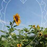 ヒメ日記 2025/08/06 09:45 投稿 みちる モアグループ南越谷人妻花壇