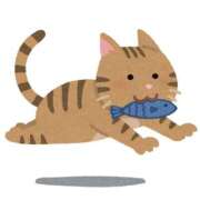 ヒメ日記 2025/09/02 12:03 投稿 みちる モアグループ南越谷人妻花壇