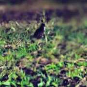 ヒメ日記 2025/10/18 22:39 投稿 みちる モアグループ南越谷人妻花壇