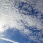 ヒメ日記 2025/10/19 08:24 投稿 みちる モアグループ南越谷人妻花壇