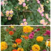 ヒメ日記 2025/10/20 20:16 投稿 みちる モアグループ南越谷人妻花壇