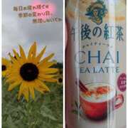 ヒメ日記 2025/10/25 10:03 投稿 みちる モアグループ南越谷人妻花壇