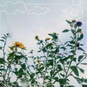 ヒメ日記 2025/11/05 18:33 投稿 みちる モアグループ南越谷人妻花壇