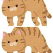 ヒメ日記 2025/11/27 00:18 投稿 みちる モアグループ南越谷人妻花壇