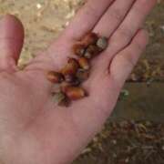 ヒメ日記 2025/12/06 22:33 投稿 みちる モアグループ南越谷人妻花壇