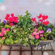 みちる 怒涛の４日間！！ モアグループ南越谷人妻花壇