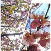 ヒメ日記 2026/02/22 22:48 投稿 みちる モアグループ南越谷人妻花壇