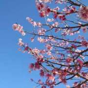 ヒメ日記 2026/03/04 20:18 投稿 みちる モアグループ南越谷人妻花壇