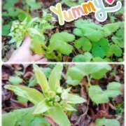 ヒメ日記 2026/03/05 21:57 投稿 みちる モアグループ南越谷人妻花壇