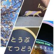 ヒメ日記 2026/03/09 19:06 投稿 みちる モアグループ南越谷人妻花壇