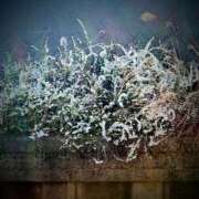 ヒメ日記 2026/03/15 09:27 投稿 みちる モアグループ南越谷人妻花壇