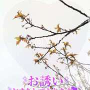 ヒメ日記 2026/03/19 18:42 投稿 みちる モアグループ南越谷人妻花壇