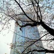 ヒメ日記 2026/03/24 19:33 投稿 みちる モアグループ南越谷人妻花壇