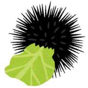 ヒメ日記 2026/03/26 04:33 投稿 みちる モアグループ南越谷人妻花壇