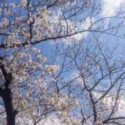 ヒメ日記 2026/03/27 14:03 投稿 みちる モアグループ南越谷人妻花壇