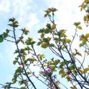 ヒメ日記 2026/03/28 17:03 投稿 みちる モアグループ南越谷人妻花壇