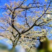 ヒメ日記 2026/03/31 23:18 投稿 みちる モアグループ南越谷人妻花壇