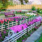 ヒメ日記 2026/04/09 00:48 投稿 みちる モアグループ南越谷人妻花壇