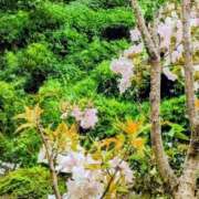 ヒメ日記 2026/04/10 01:33 投稿 みちる モアグループ南越谷人妻花壇