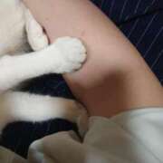 ヒメ日記 2026/04/16 17:33 投稿 みちる モアグループ南越谷人妻花壇