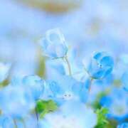 ヒメ日記 2025/08/01 06:33 投稿 春奈-はるな 熟女10000円デリヘル 川崎