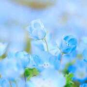 ヒメ日記 2025/08/17 06:00 投稿 春奈-はるな 熟女10000円デリヘル 川崎