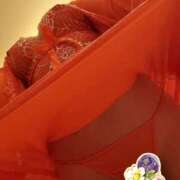 ヒメ日記 2025/10/13 00:00 投稿 春奈-はるな 熟女10000円デリヘル 川崎