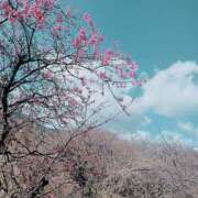 ヒメ日記 2026/02/27 08:16 投稿 春奈-はるな 熟女10000円デリヘル 川崎