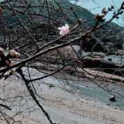 ヒメ日記 2025/02/11 09:45 投稿 春奈-はるな 熟女10000円デリヘル横浜